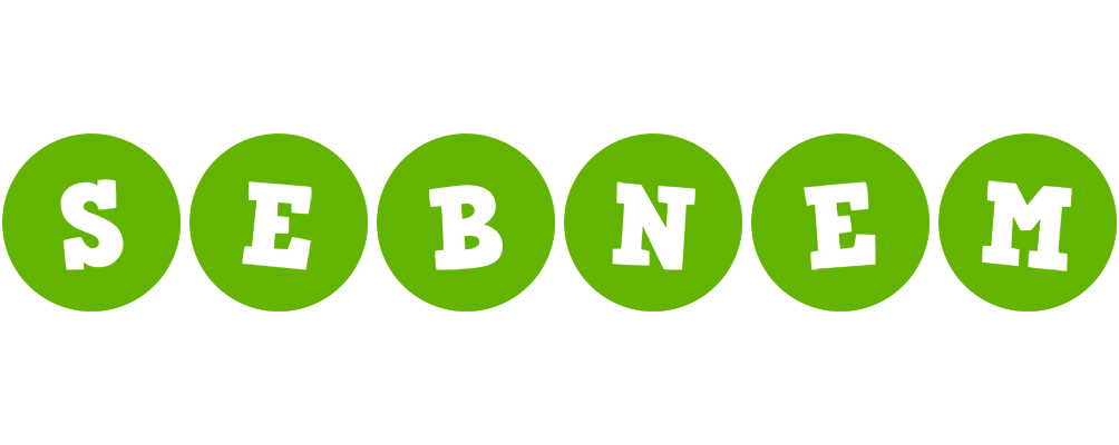 Sebnem games logo