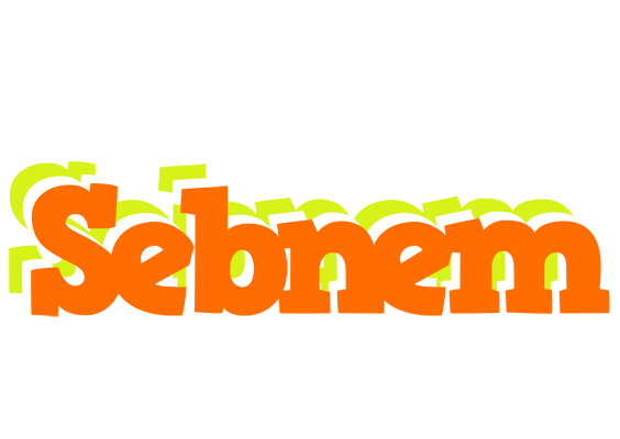 Sebnem healthy logo