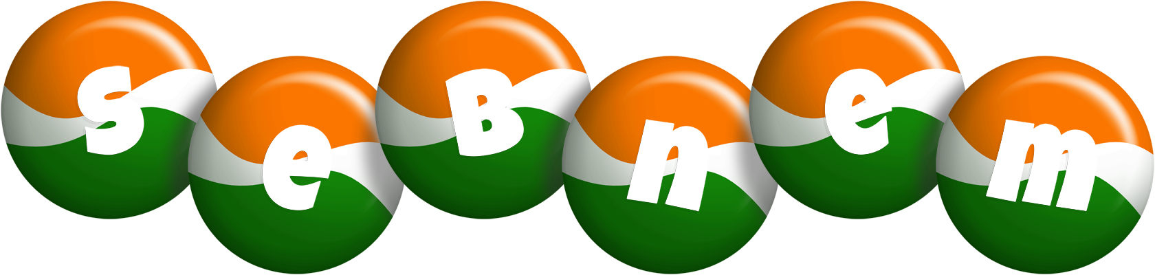 Sebnem india logo