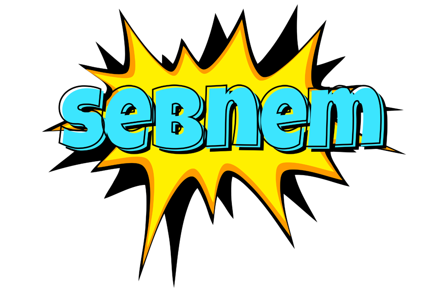 Sebnem indycar logo