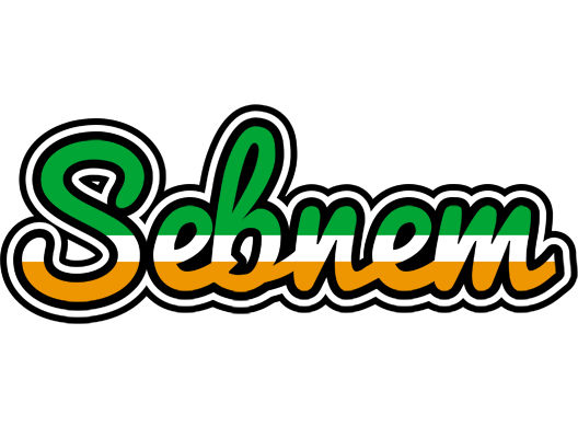 Sebnem ireland logo