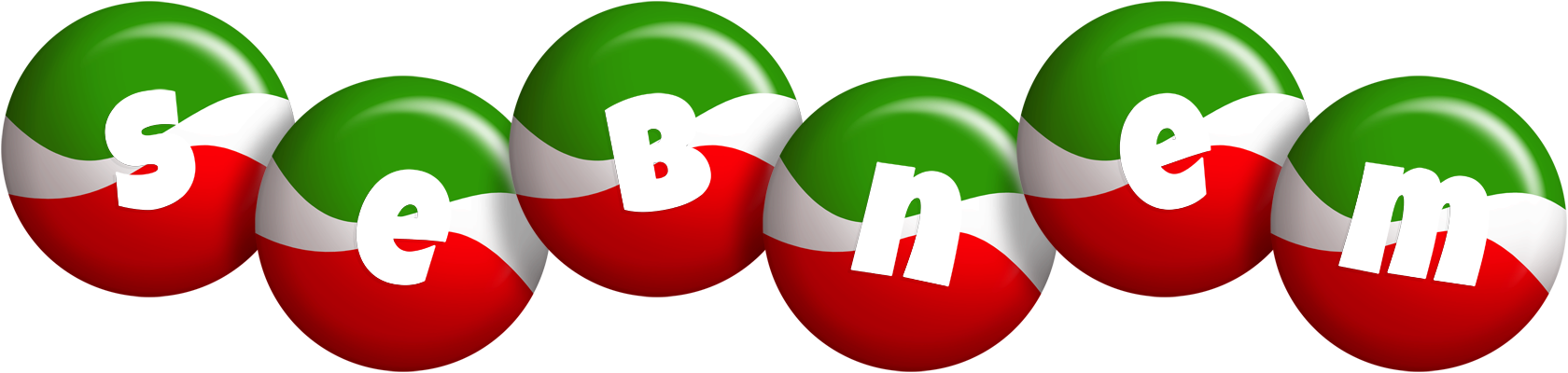 Sebnem italy logo
