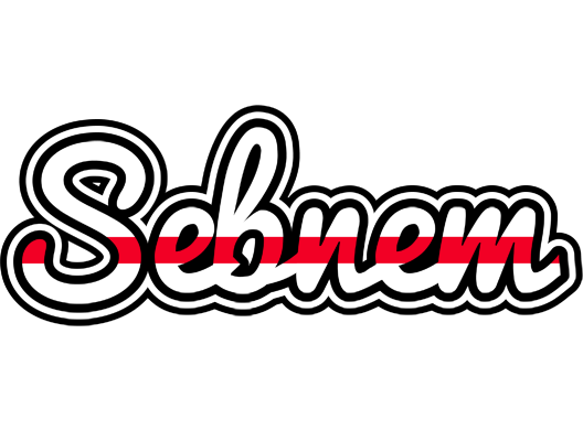 Sebnem kingdom logo