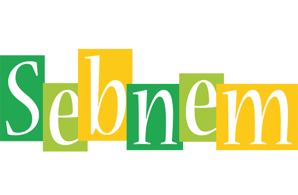 Sebnem lemonade logo