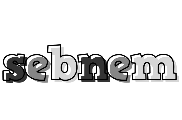 Sebnem night logo