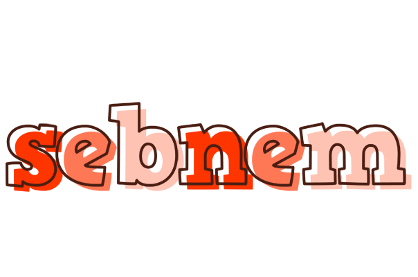 Sebnem paint logo
