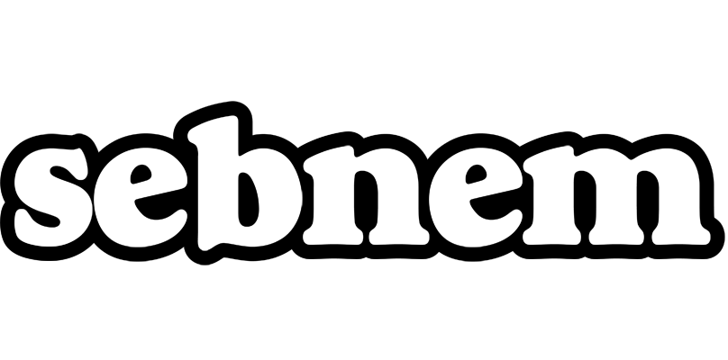 Sebnem panda logo