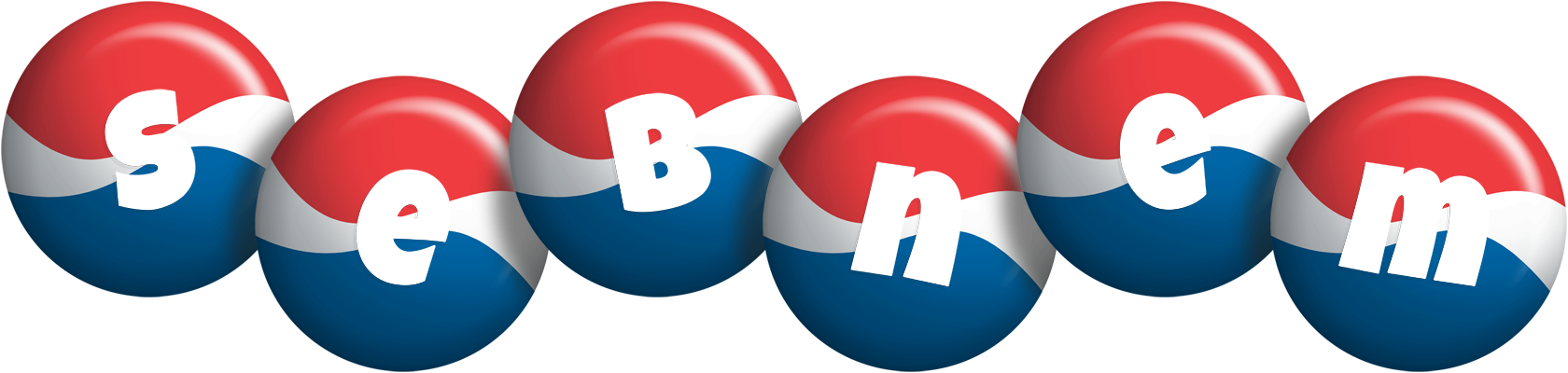 Sebnem paris logo