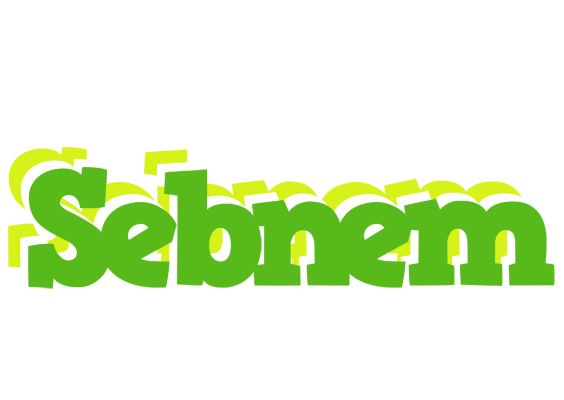 Sebnem picnic logo