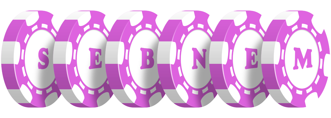 Sebnem river logo