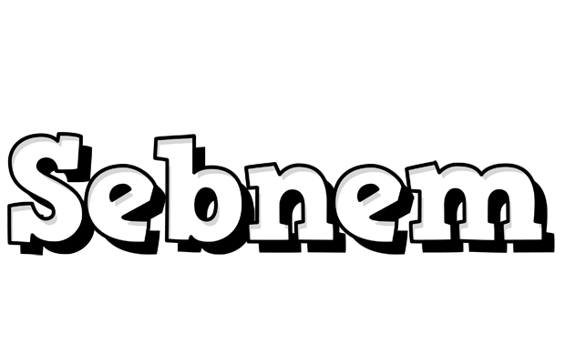Sebnem snowing logo
