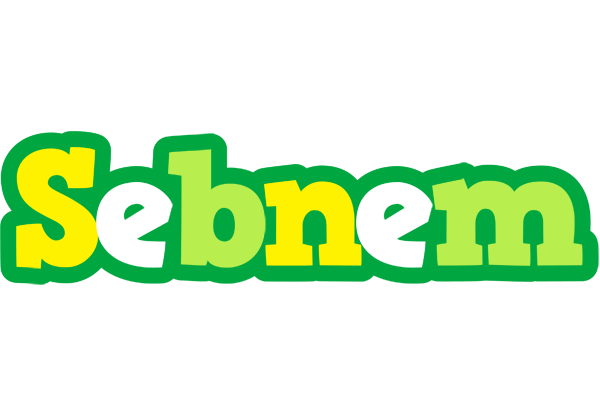 Sebnem soccer logo