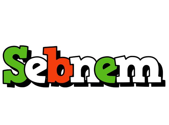 Sebnem venezia logo