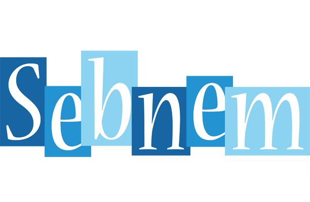 Sebnem winter logo
