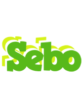 Sebo picnic logo