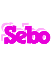 Sebo rumba logo