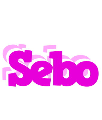 Sebo rumba logo