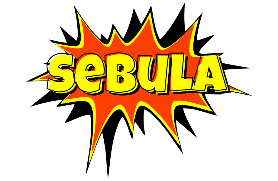 Sebula bazinga logo
