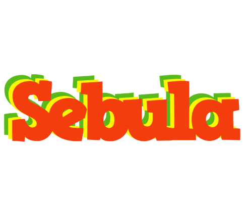 Sebula bbq logo