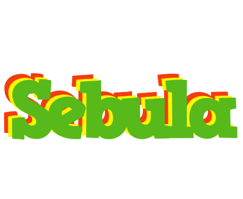 Sebula crocodile logo