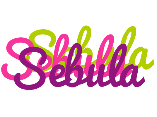 Sebula flowers logo