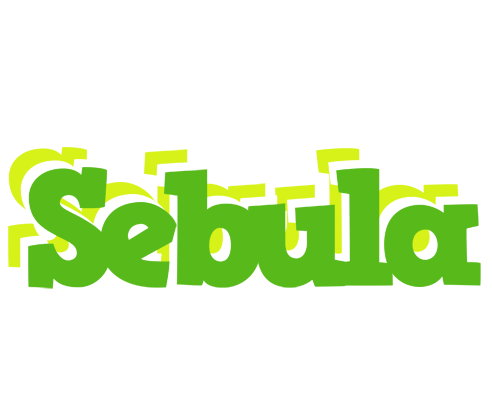 Sebula picnic logo