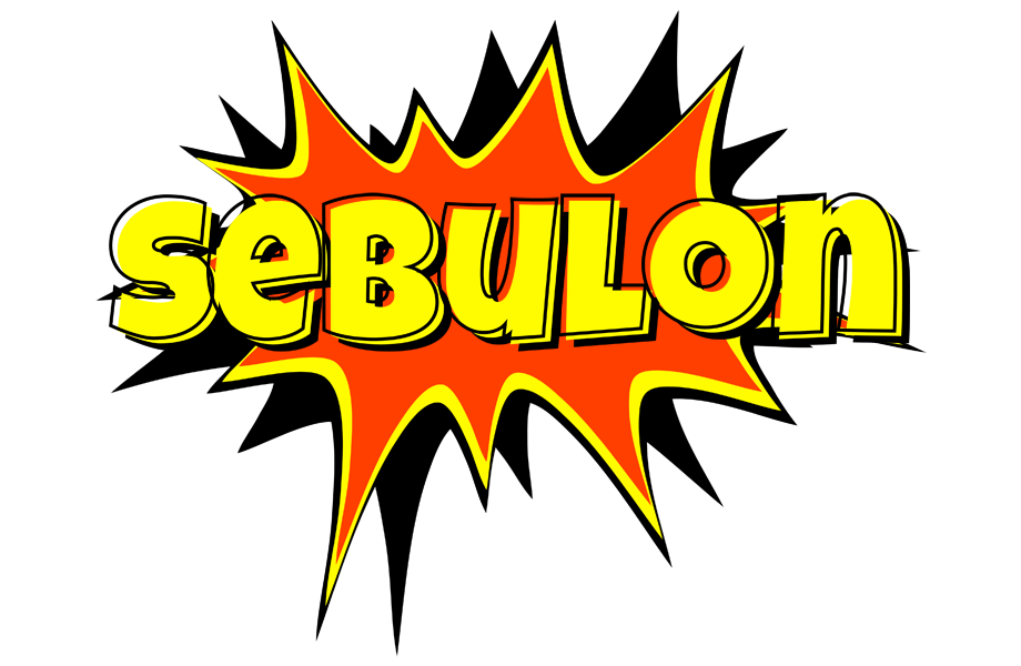 Sebulon bazinga logo