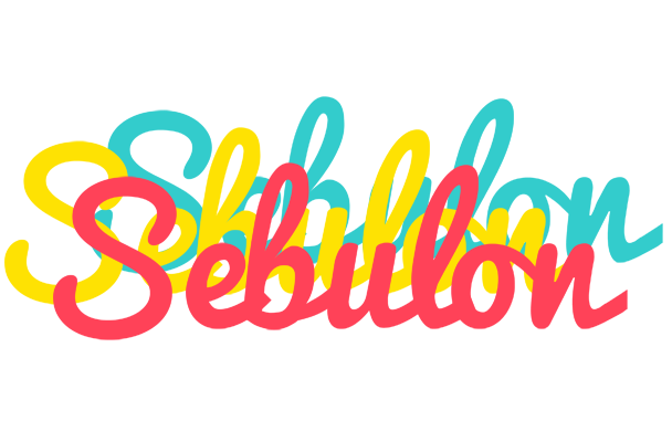 Sebulon disco logo