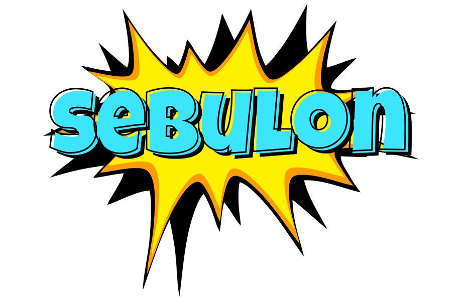 Sebulon indycar logo