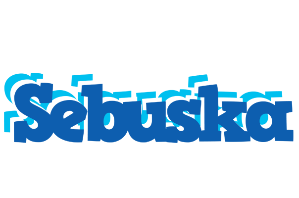 Sebuska business logo