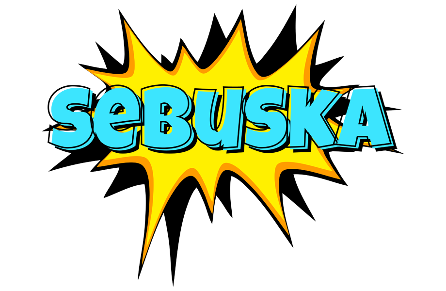 Sebuska indycar logo