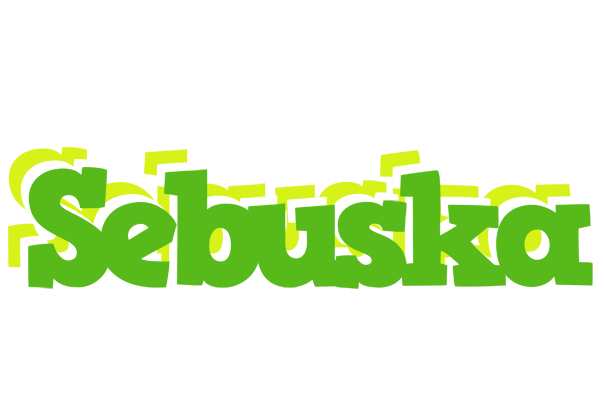 Sebuska picnic logo