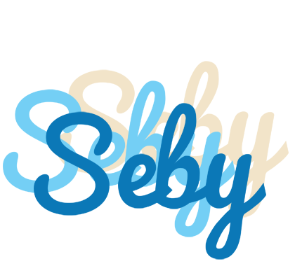 Seby breeze logo
