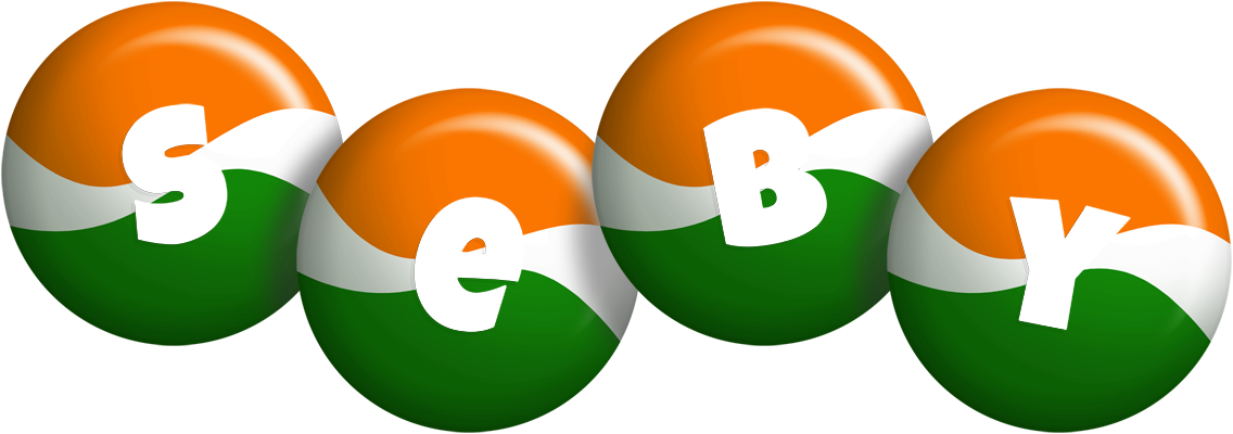 Seby india logo