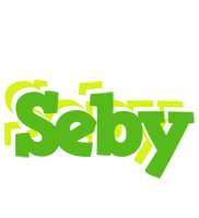 Seby picnic logo