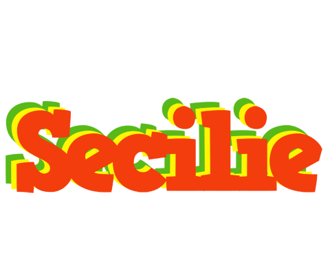 Secilie bbq logo