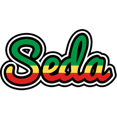 Seda african logo