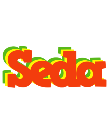 Seda bbq logo