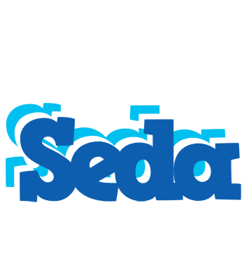 Seda business logo