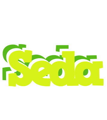 Seda citrus logo