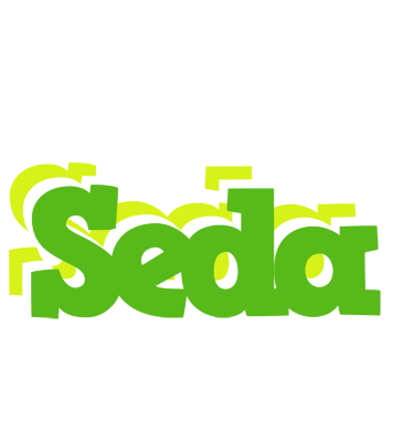 Seda picnic logo