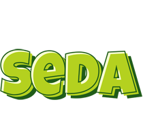 Seda summer logo