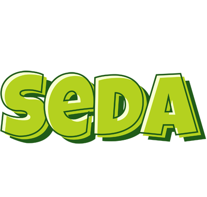 Seda summer logo