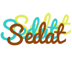 Sedat cupcake logo