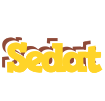 Sedat hotcup logo