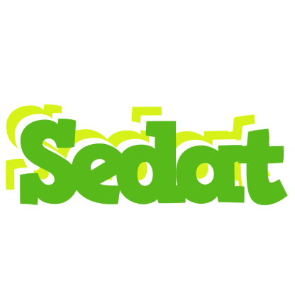 Sedat picnic logo