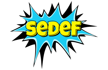 Sedef amazing logo