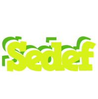 Sedef citrus logo