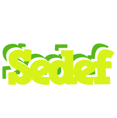 Sedef citrus logo