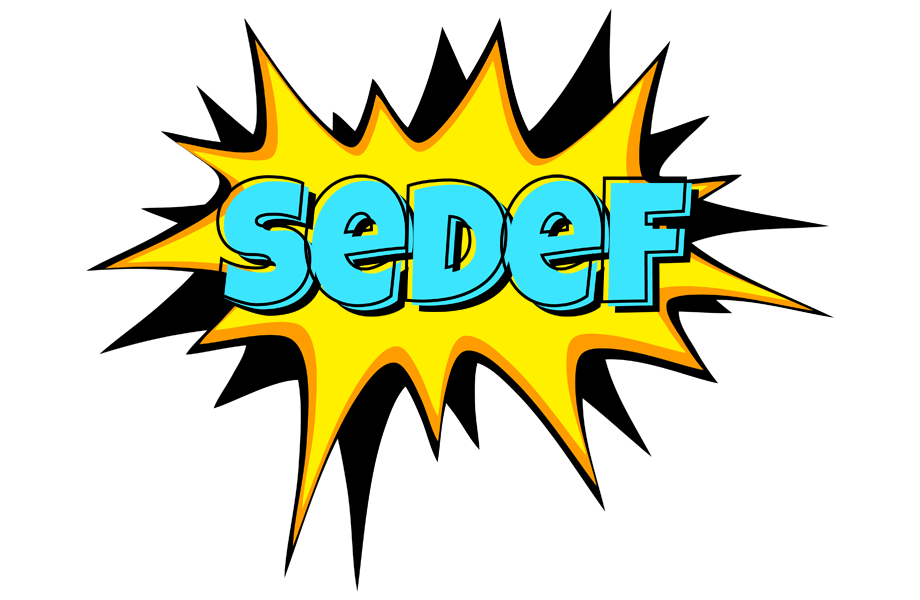 Sedef indycar logo